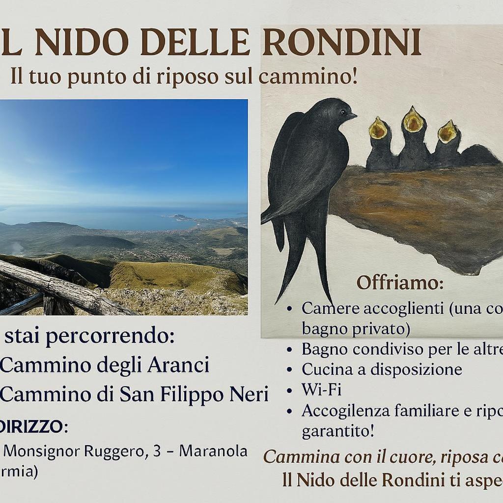 Il Nido Delle Rondini Apartment Formia